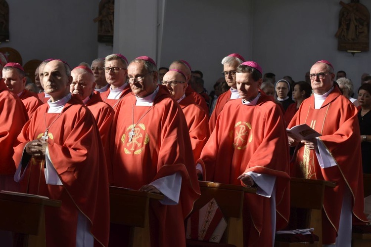 Msza się dla KEP w sanktuarium Relikwii Drzewa Krzyża Świętego w Wałbrzychu