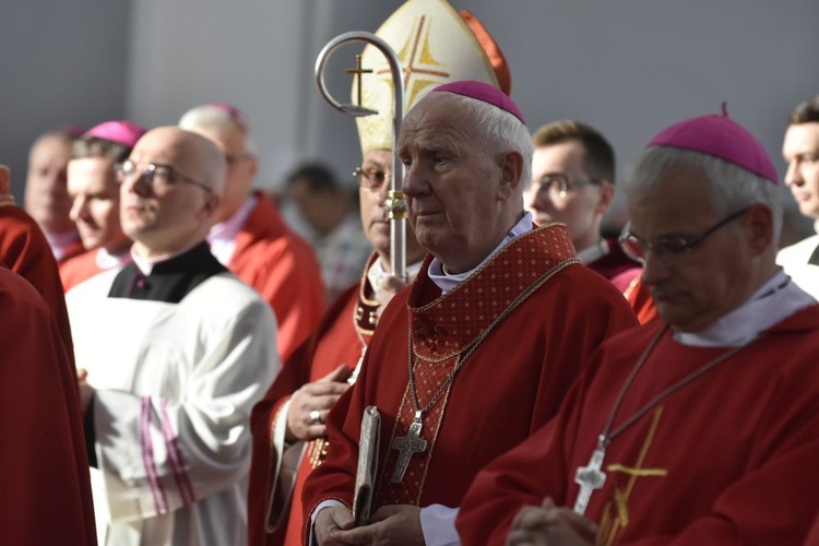 Msza się dla KEP w sanktuarium Relikwii Drzewa Krzyża Świętego w Wałbrzychu