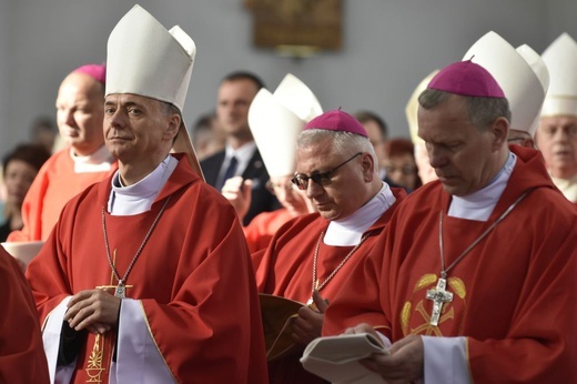 Msza się dla KEP w sanktuarium Relikwii Drzewa Krzyża Świętego w Wałbrzychu