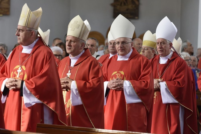 Msza się dla KEP w sanktuarium Relikwii Drzewa Krzyża Świętego w Wałbrzychu