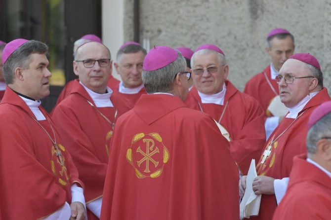 Msza się dla KEP w sanktuarium Relikwii Drzewa Krzyża Świętego w Wałbrzychu