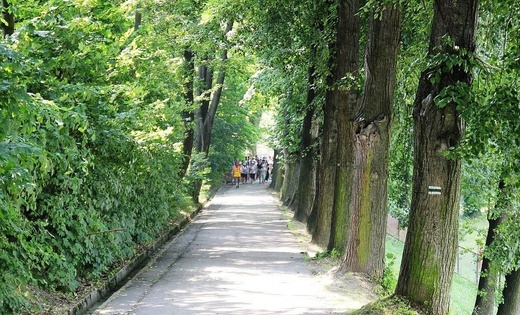 37. Pielgrzymka z Porąbki do Kalwarii Zebrzydowskiej - 2019