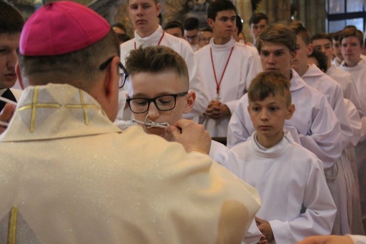 6. rocznica ingresu abp. Kupnego oraz promocja lektorów i ceremoniarzy