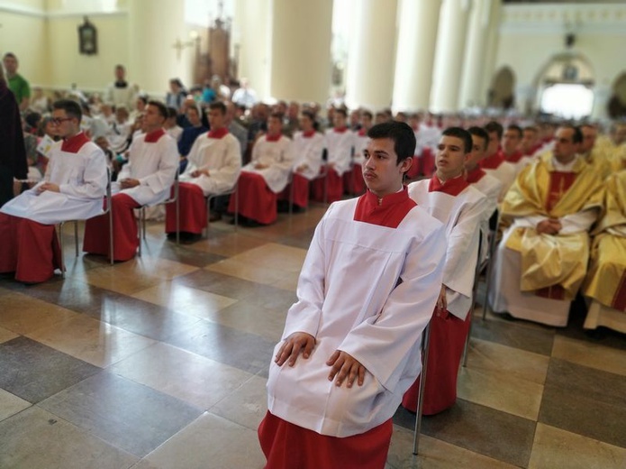 Pielgrzymka lektorów i ministrantów do Wąwolnicy