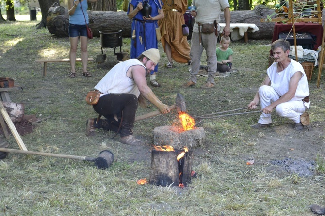 Piknik archeologiczny w Tarnobrzegu-Dzikowie