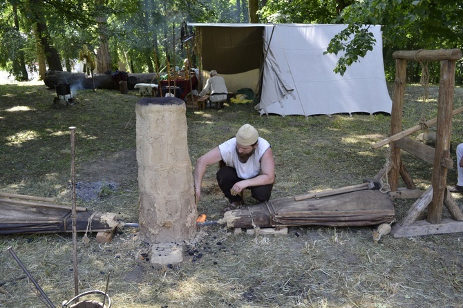 Piknik archeologiczny w Tarnobrzegu-Dzikowie