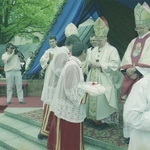 Koronacja obrazu Matki Bożej Cierpliwie Słuchającej w Rokitnie