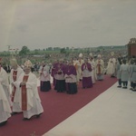 Koronacja obrazu Matki Bożej Cierpliwie Słuchającej w Rokitnie