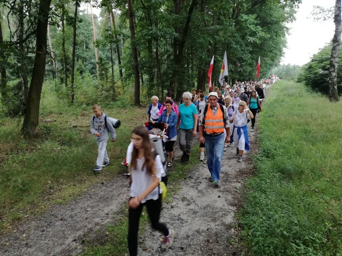 Pielgrzymka 2018 - u stóp Matki Bożej