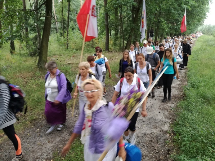 Pielgrzymka 2018 - u stóp Matki Bożej