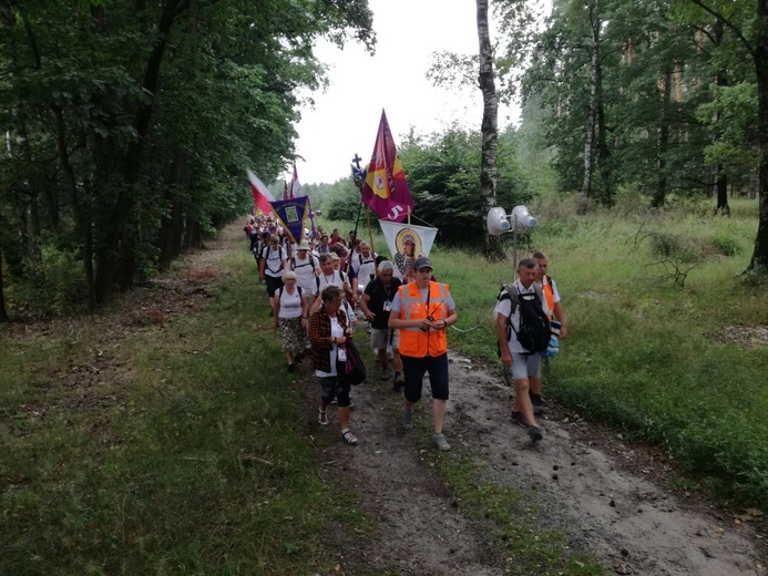 Pielgrzymka 2018 - u stóp Matki Bożej