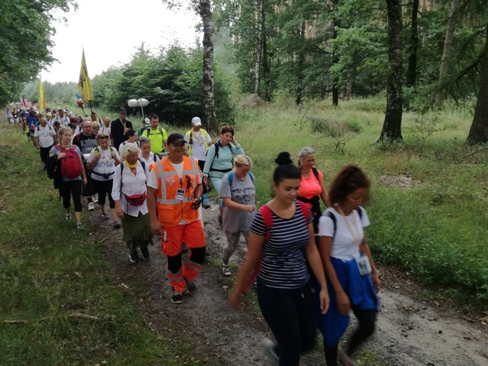 Pielgrzymka 2018 - u stóp Matki Bożej