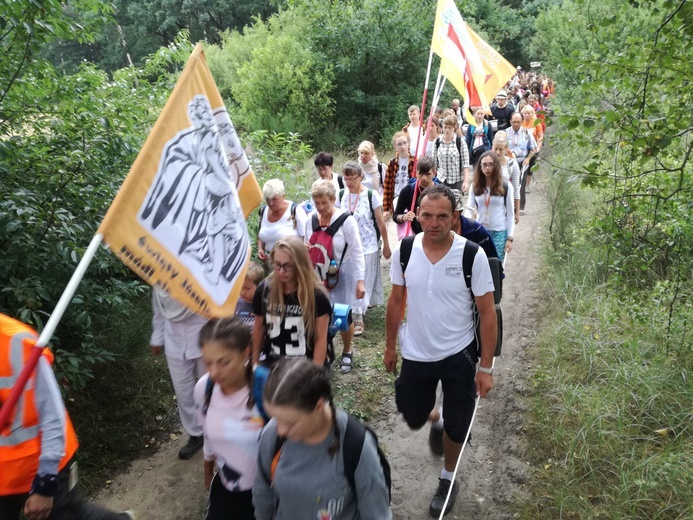 Pielgrzymka 2018 - u stóp Matki Bożej