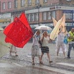 Marsz dla życia i rodziny w Zabrzu