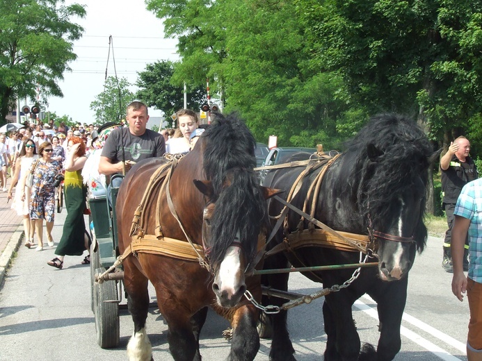 Dzień Reymonta