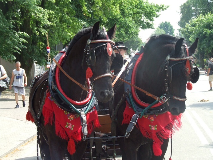 Dzień Reymonta
