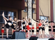 Piknik w Rudniku nad Sanem 