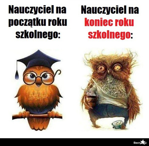 Memy na koniec roku szkolnego