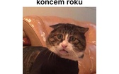 Memy na koniec roku szkolnego