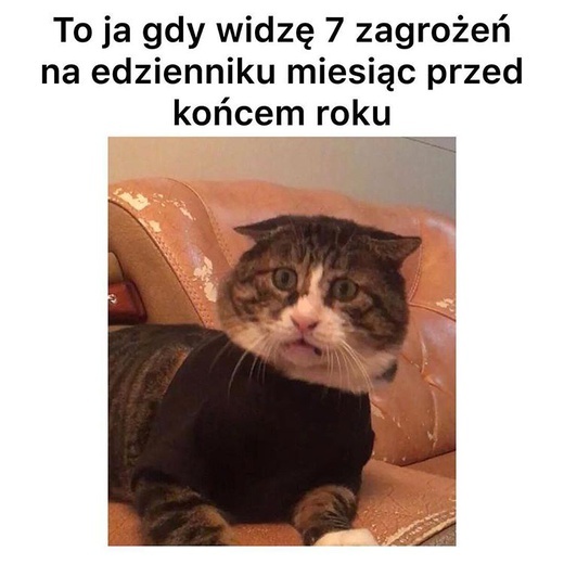 Memy na koniec roku szkolnego