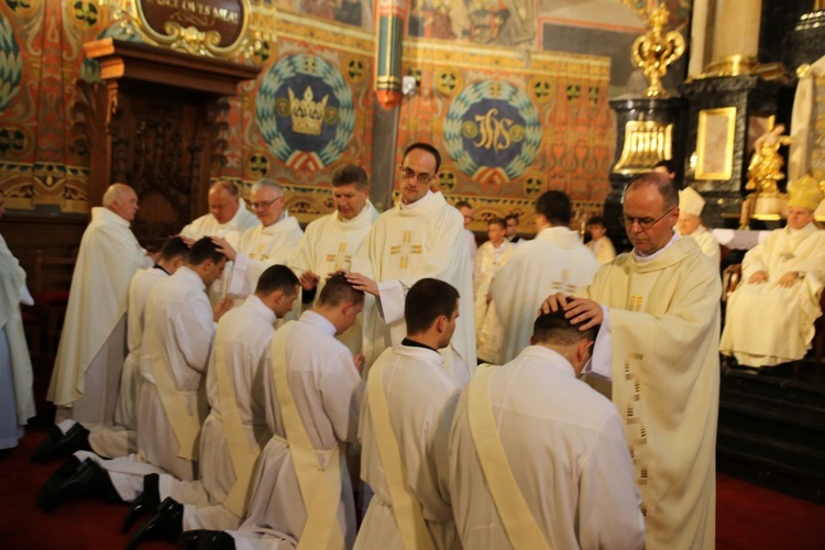 Święcenia kapłańskie w Sandomierzu