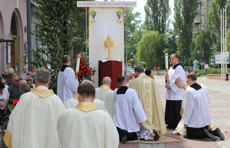 Boże Ciało w Bielsku-Białej - 2019