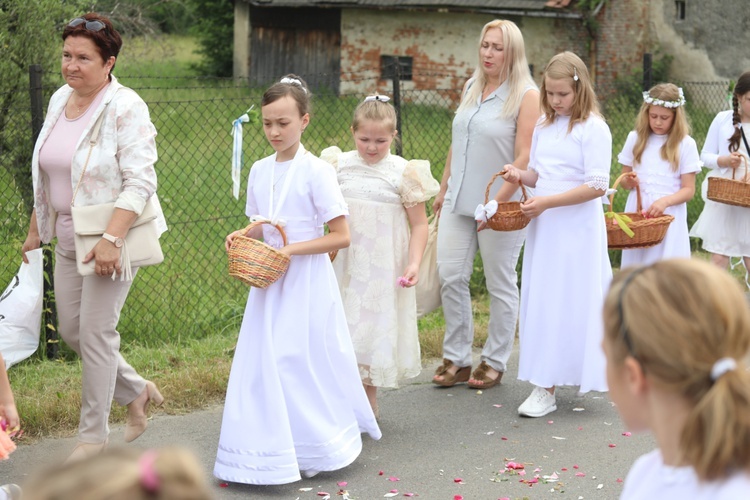 Boże Ciało w Łodygowicach Górnych - 2019