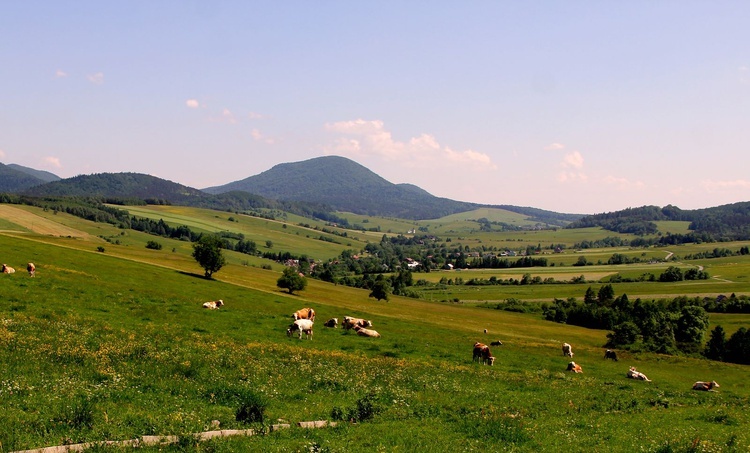 Diecezja na wakacje. Czyrna