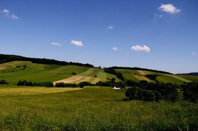 Diecezja na wakacje. Czyrna