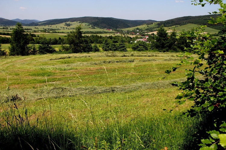 Diecezja na wakacje. Czyrna