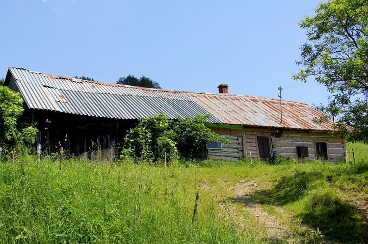 Diecezja na wakacje. Czyrna