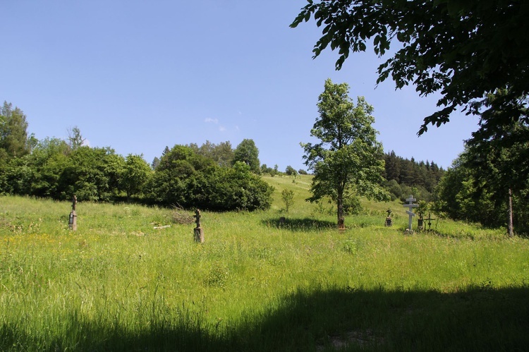 Diecezja na wakacje. Czyrna