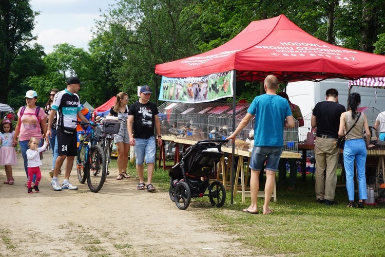 Wystawa zwierząt w Książu