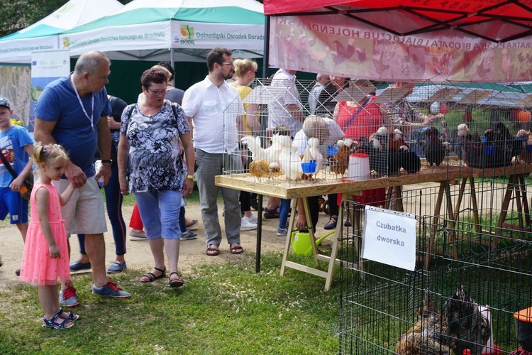 Wystawa zwierząt w Książu