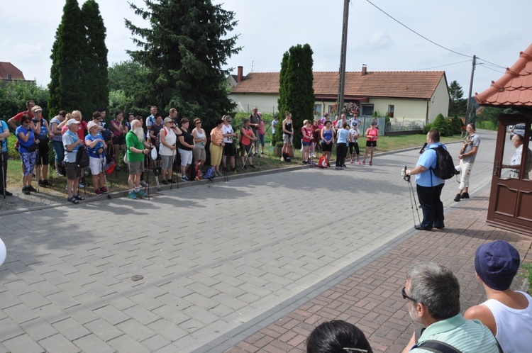 10. Pielgrzymka Entuzjastów Nordic Walking