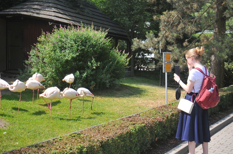 Krakowski Ogród Zoologiczny 2019