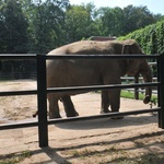 Krakowski Ogród Zoologiczny 2019