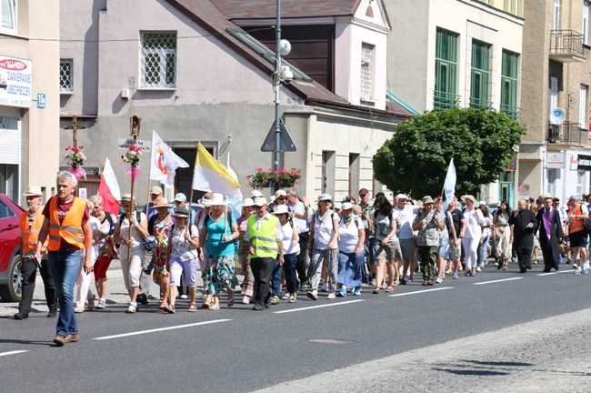 Pielgrzymka z Radomia do Niepokalanowa