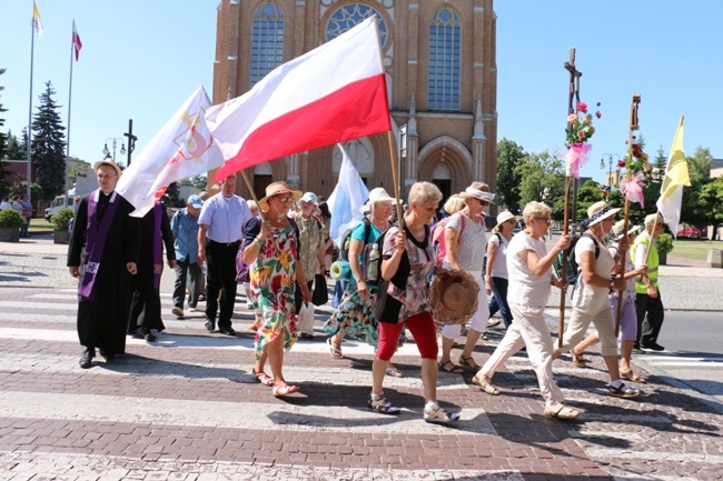 Pielgrzymka z Radomia do Niepokalanowa