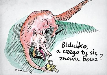 Andrzej Krauze przedstawia