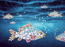 Rzeki antybiotyków