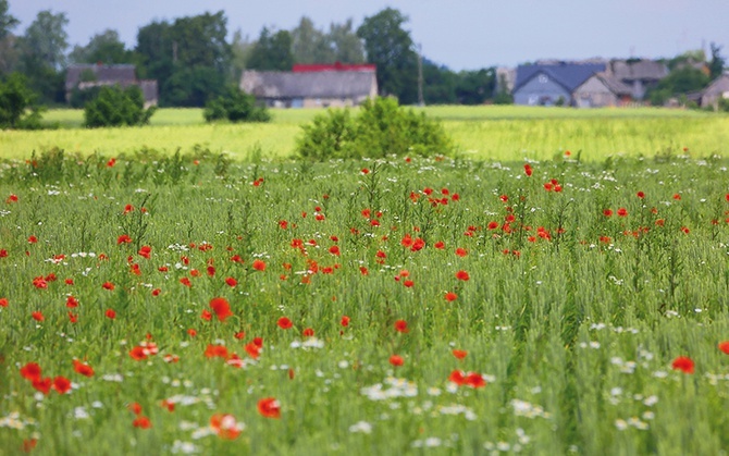 Kilka chatek, jezioro, długo, długo nic i znowu kilka domków. Zachwyca mnie ta przestrzeń.