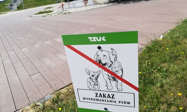 Tychy: zakaz wyprowadzenia psów na nowe tereny zielone