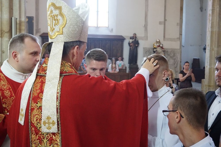 Trzy uroczystości w bazylice w Strzegomiu