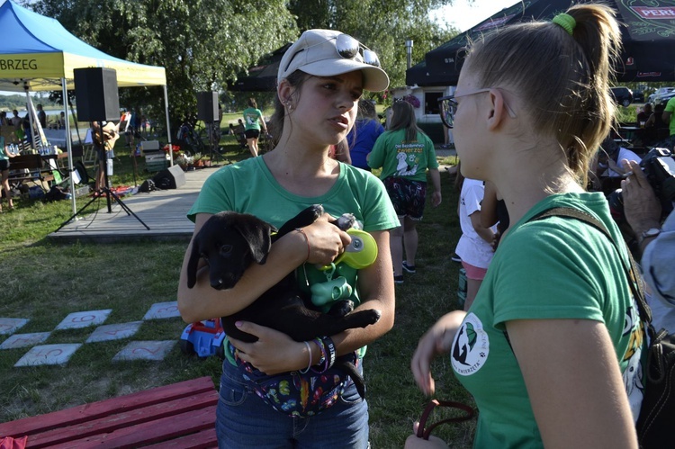 Piknik "Psia Chatka"