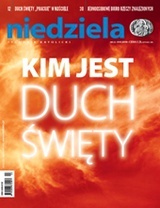 Niedziela 23/2019