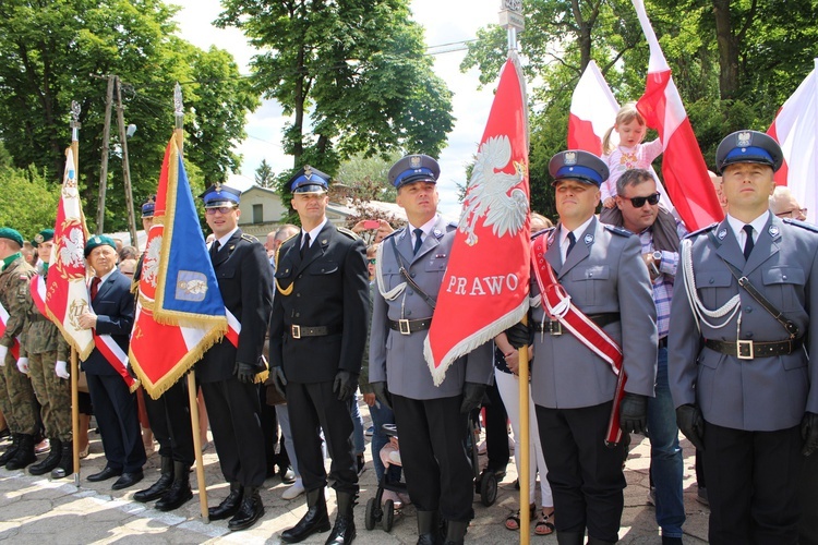 Święto terytorialsów w Ciechanowie