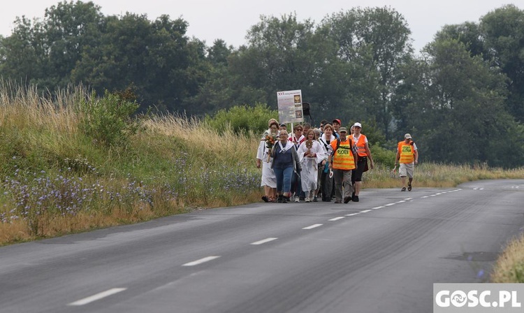 XVI Elżbietańska Piesza Pielgrzymka z Żar do Rokitna