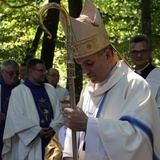 Uroczystości rocznicowe w matemblewskim sanktuarium