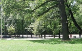 Park Bogucki w Katowicach dostał drugie życie